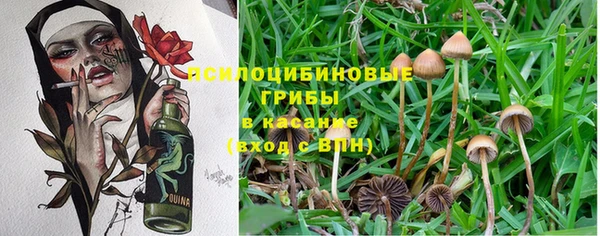 СК Яровое